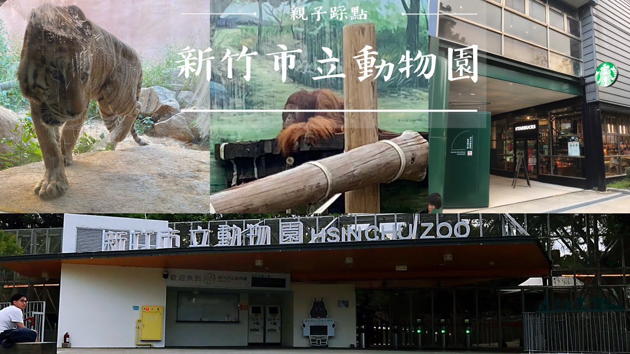 ［親子踩點-新竹市立動物園］沒有籠子的動物園，一起去給動物們觀看/透明景觀窗看老虎/遛孩子的好地方/網美星巴克/親子景點@虎爸虎媽@hubahuma​