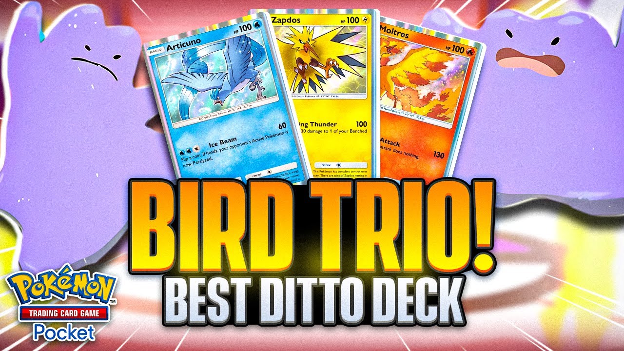 Building the ULTIMATE DITTO Deck!!!【Pokemon TCG Pocket】