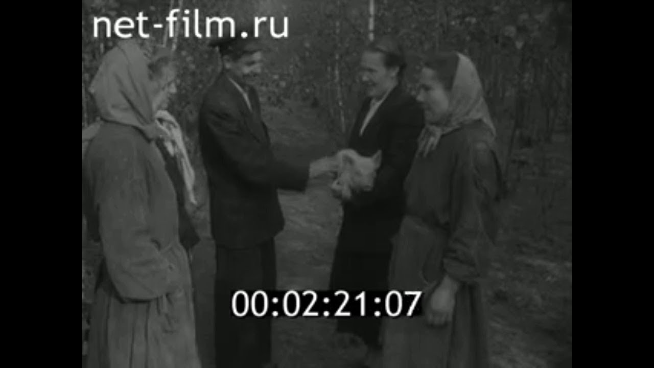 1959г. колхозы Зарево и Брахлов  Климовский район Брянская обл