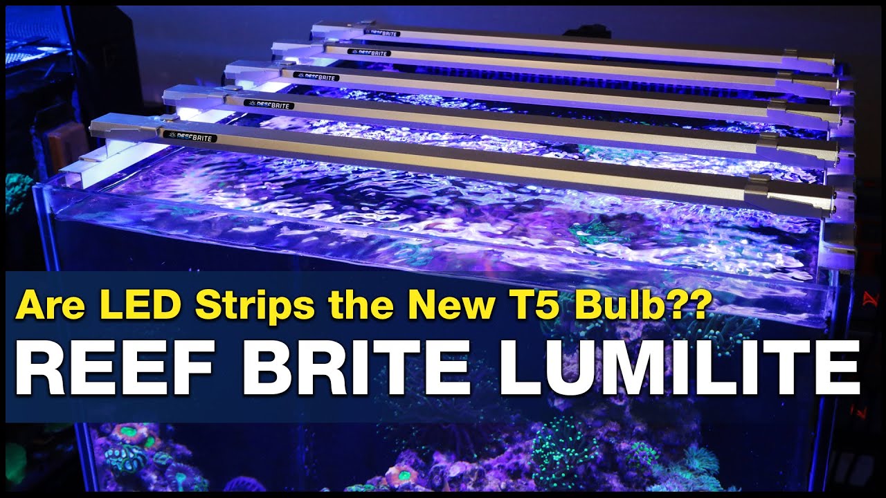 Will a handful of Reef Brite LED strips outperform T5 bulbs? Wait until you see what we found!