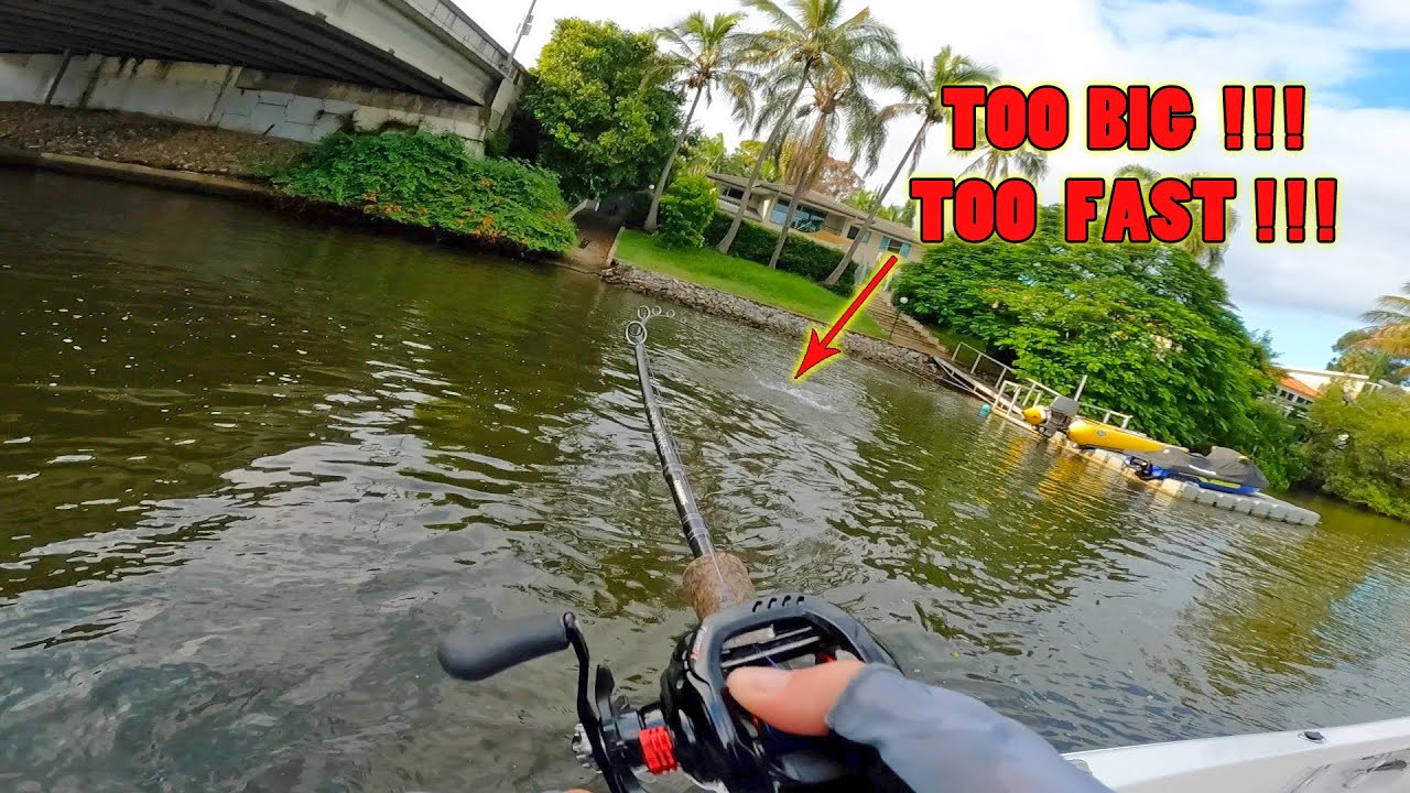 Getting destroyed by a Nerang River Monster....couldn't stop it !!!  Gold Coast Topwater Fishing