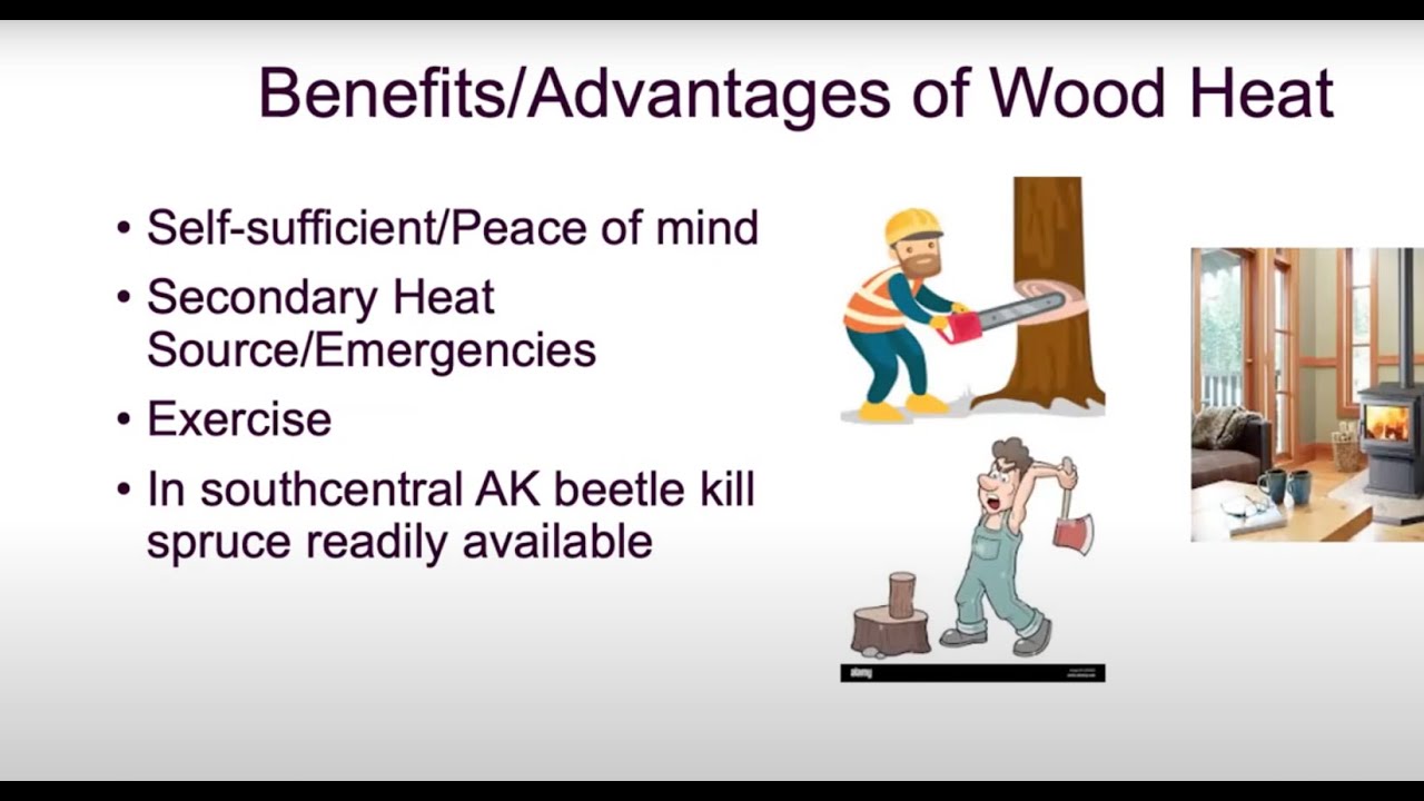 Biomass Energy: How to Effectively Fuel Your Home Fall 2024