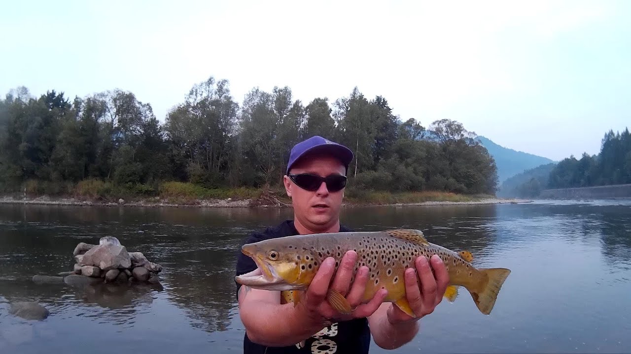 Pstrągi  Spinning Dunajec