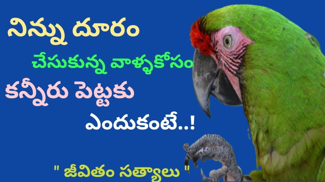 నిన్ను దూరం చేసుకొన్న  వాళ్ళ కోసం భాధపడకు I Life changing motivational video