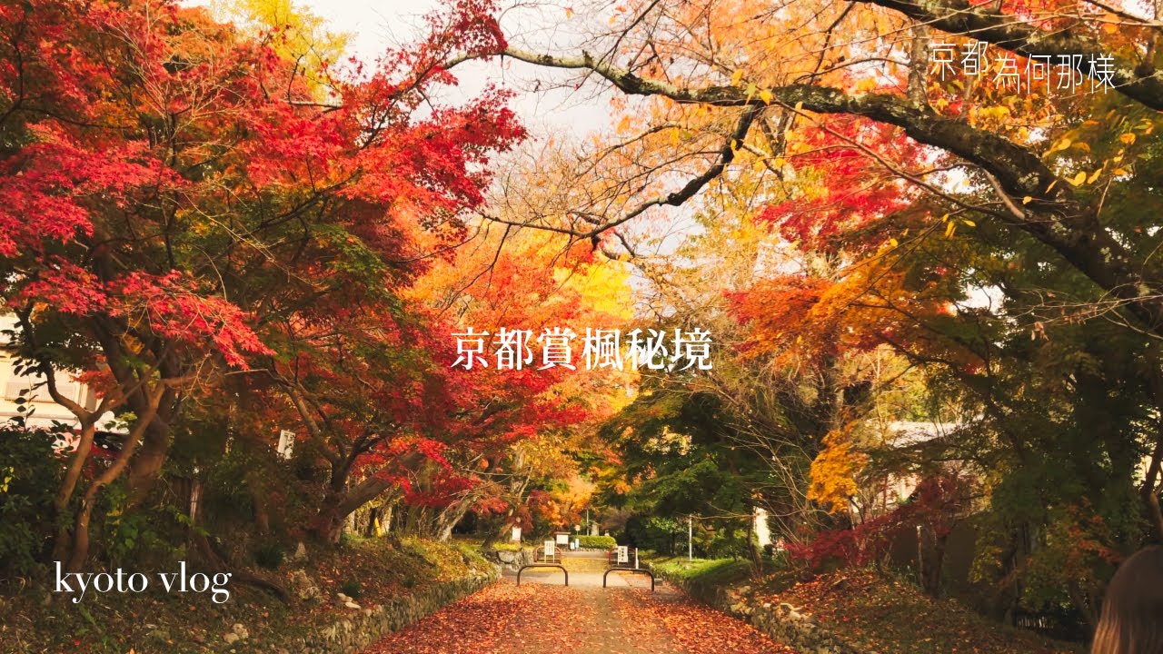 [京都為何那樣02] 京都楓葉季, 只有在地人的賞楓秘境, 視覺系的紅葉隧道 l 京町家 咖哩烏龍麵 l 十文堂 小鳥胃烤糰子 l %arabica創始店 | 星巴克聖誕限定