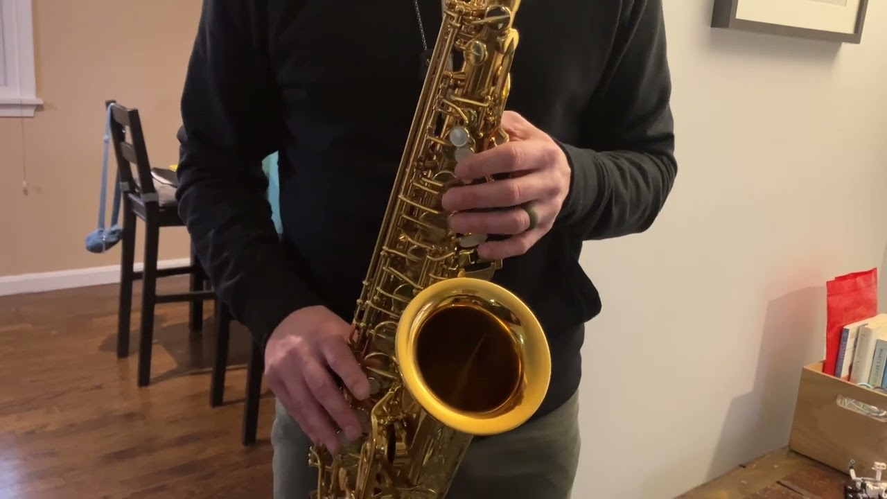 Selmer Reference 54 Alto Saxophone Demo, www.dcsax.com