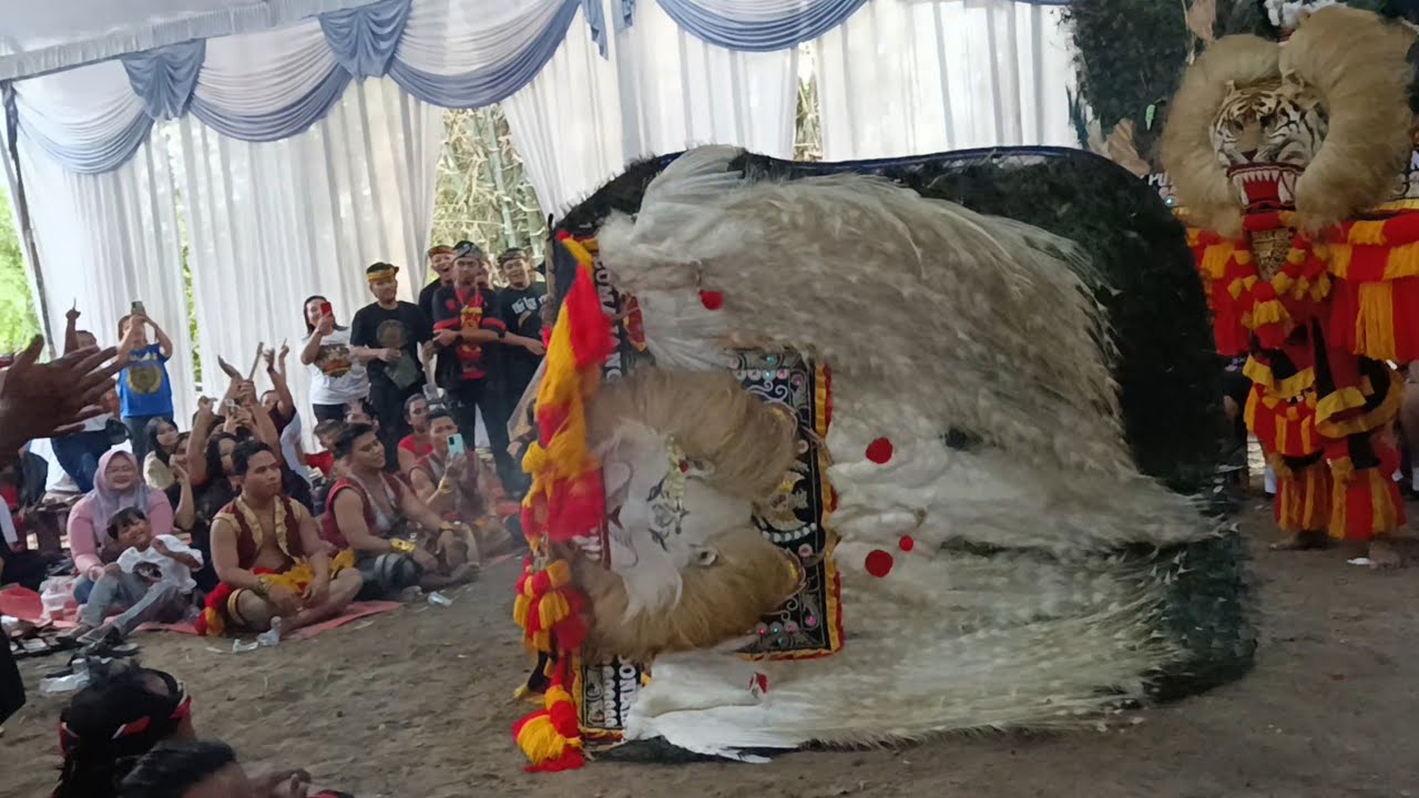 MERINDING‼️ATRAKSI HEBAT PEMBARONG REOG SINGO NGUMBORO LUMAJANG GEGERKAN DESA JENANGAN PONOROGO