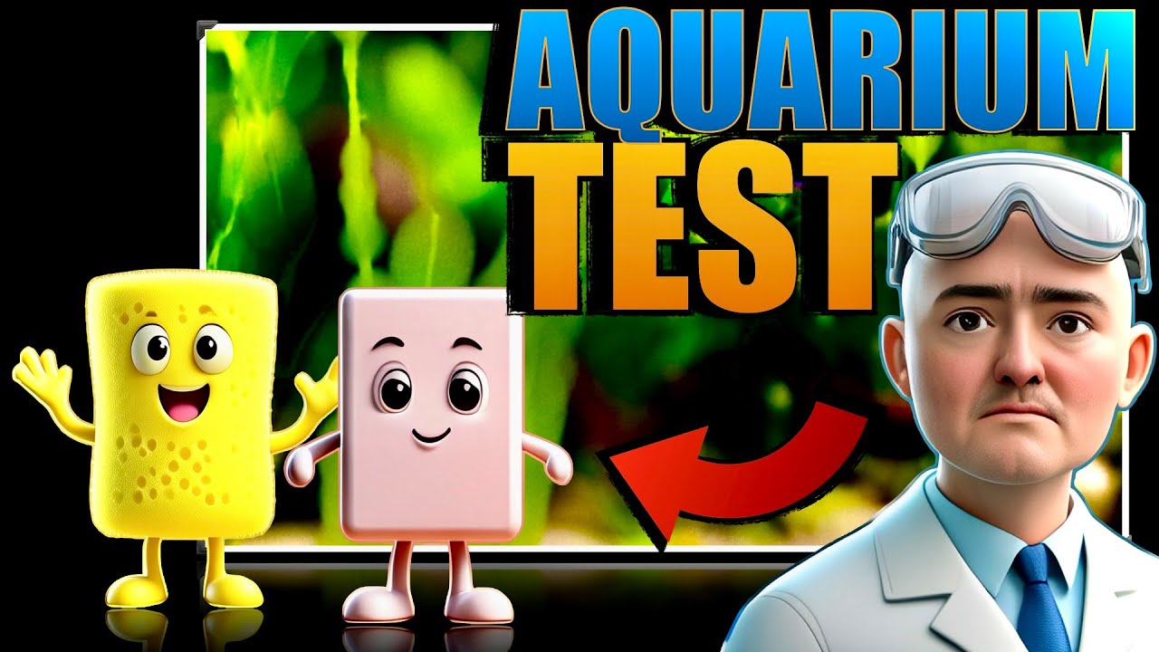 Best Sponge For Cleaning Aquarium Glass #aquarium #fishroom #melaminesponge