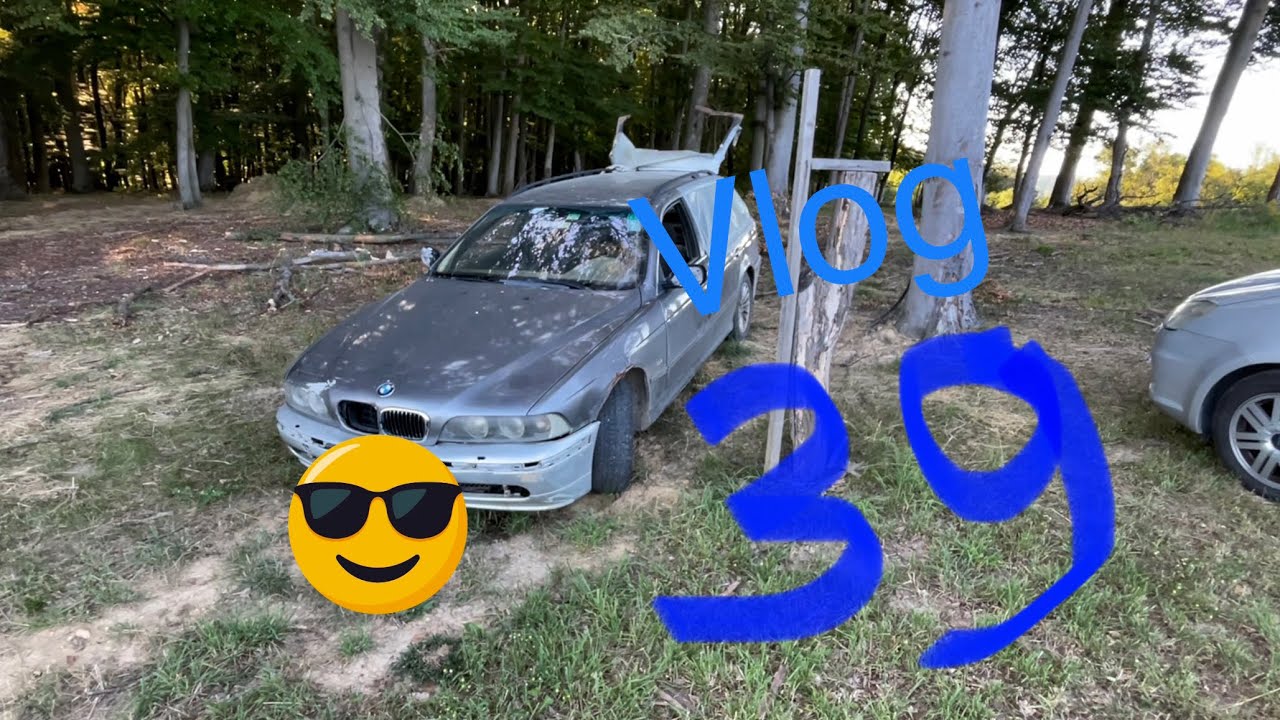 Floss dance, skoraj ohranjen BMW in piknik! Vlog #39