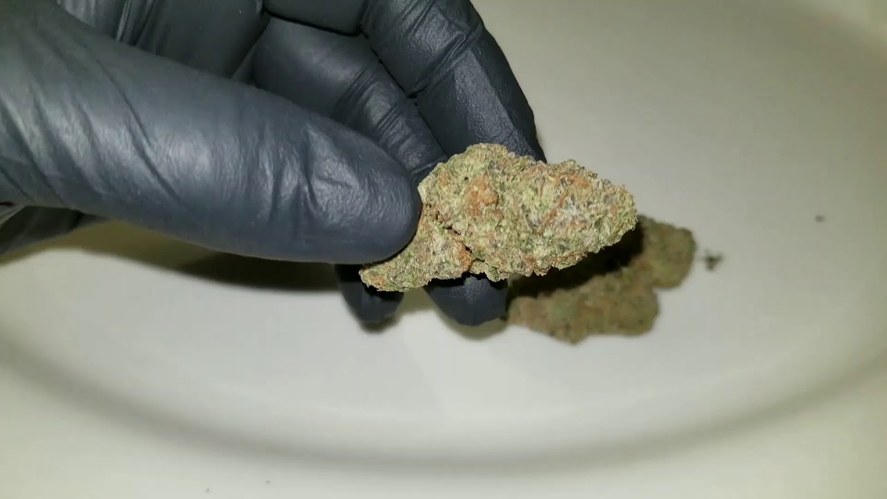 Viper Cookies