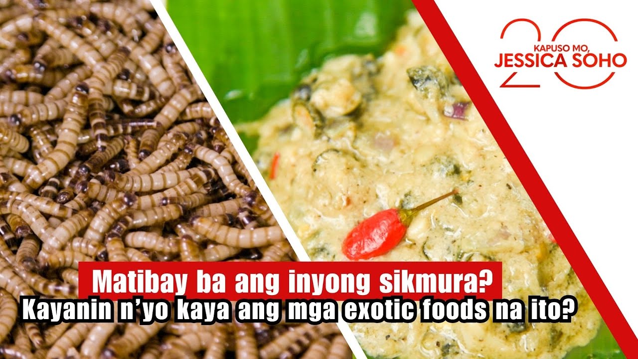 Matibay ba ang inyong sikmura? Kayanin n&rsquo;yo kaya ang exotic foods na ito? | Kapuso Mo, Jessica Soho