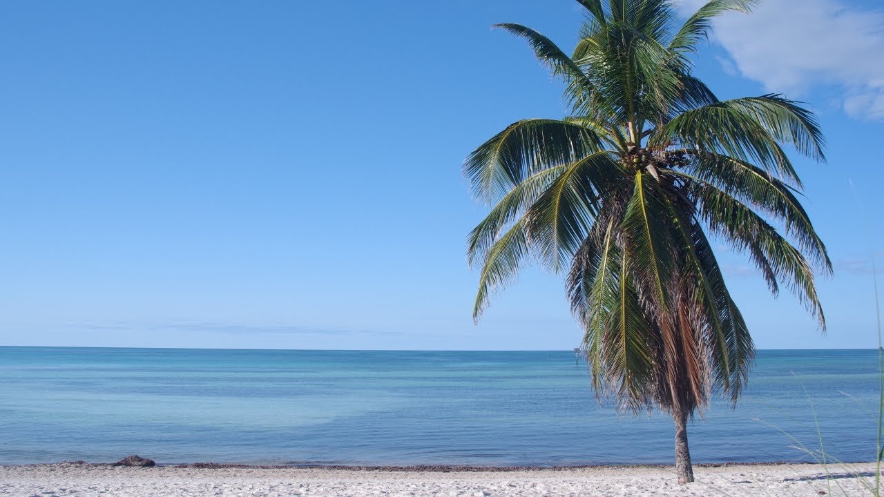 Key West Beaches Smathers Higgs Rest South Beach Knight Pier Tour walkthrough