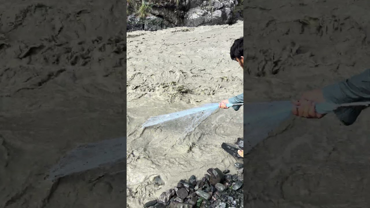 Net casting in heavy flood water  #viralshorts  #Netfishing  #fishing