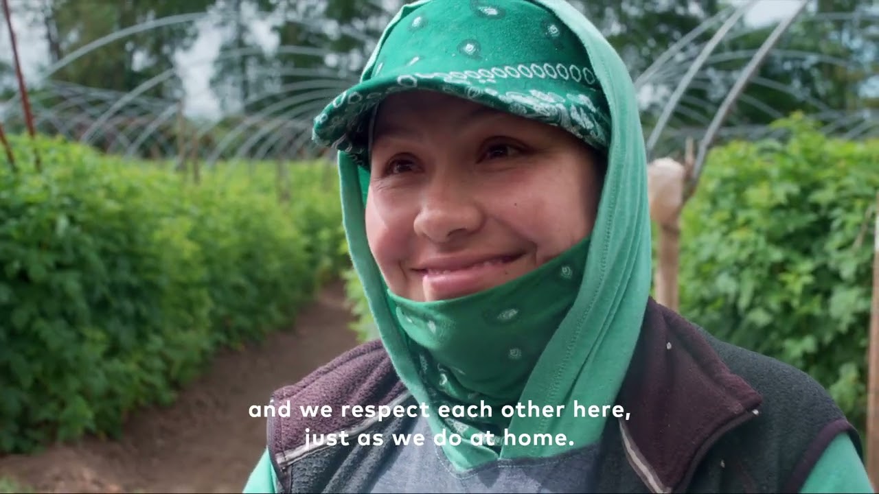 The Harvester | Driscoll's One Family, One Earth™