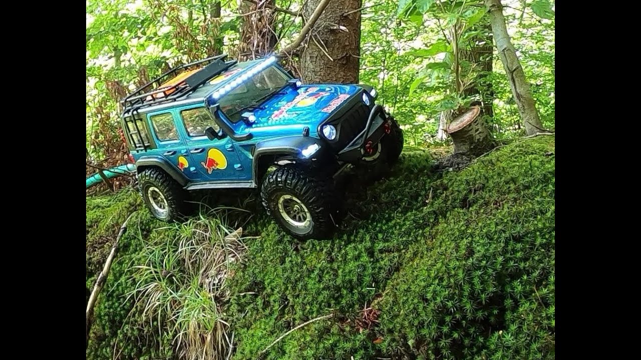 Sonntags crawlen im Wald
