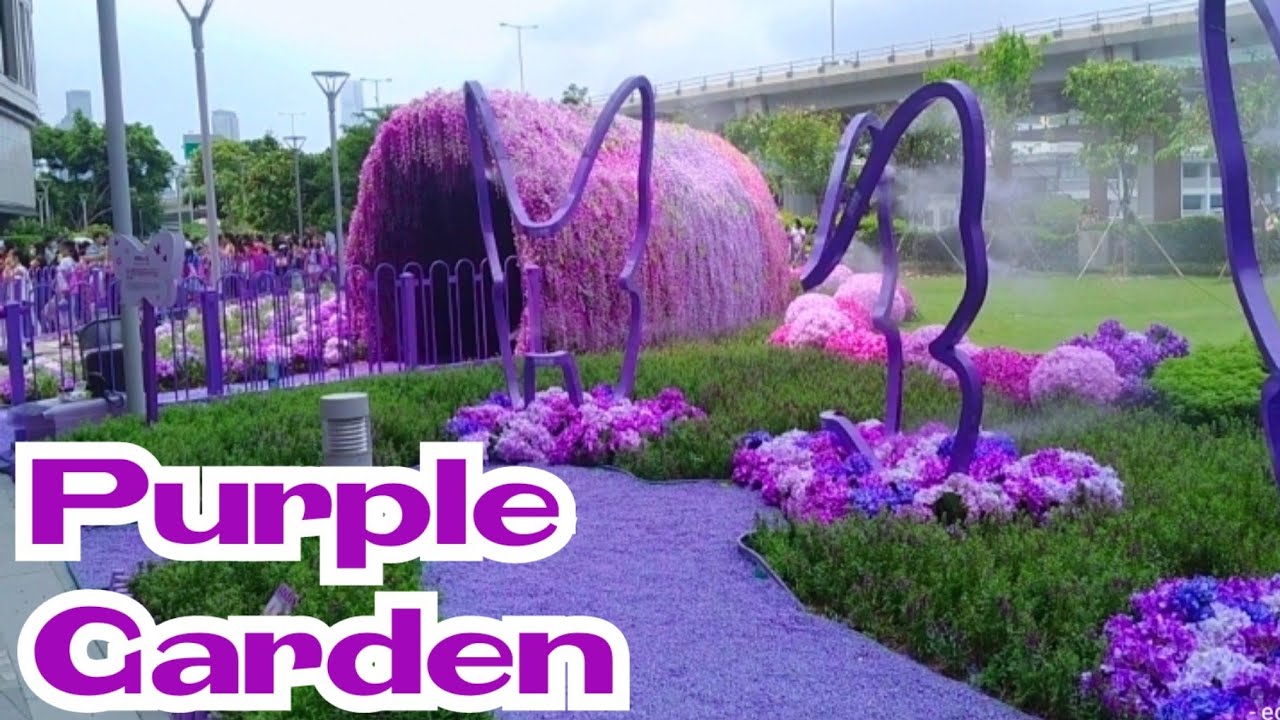 Purple Garden
