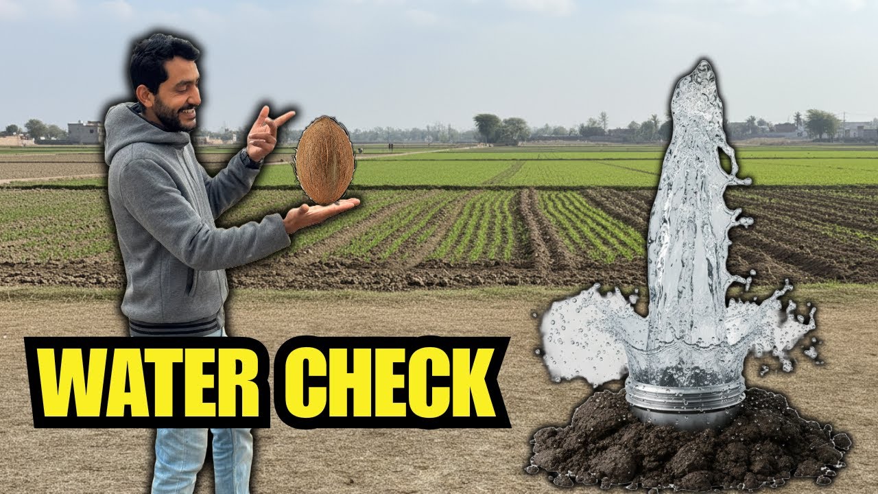 Water Check Using Hairy Coconut | Dawood