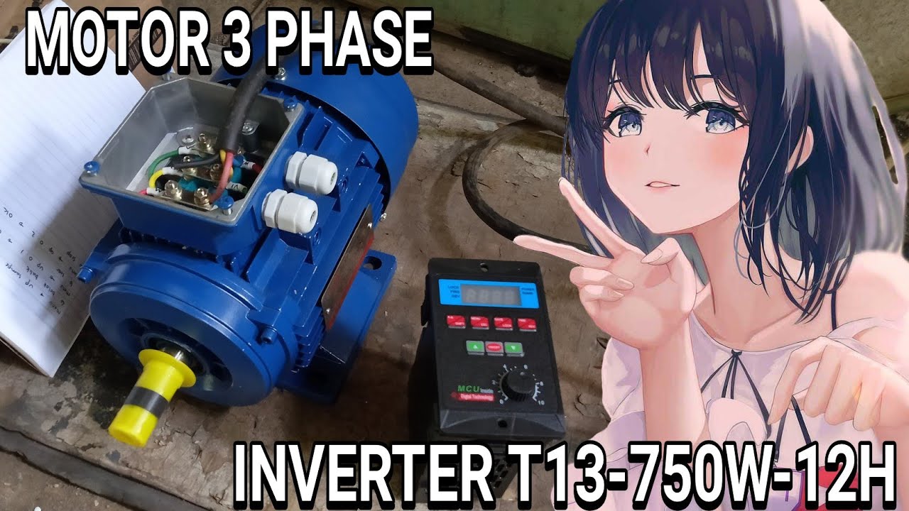 Inverter T13-750W-12H