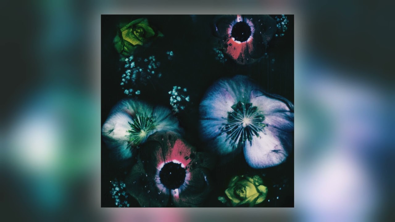 Vaal - Love Reversed [Audio]