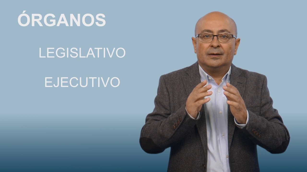 La Organización Institucional De Las Comunidades Autónomas (I). La Asamblea Legislativa