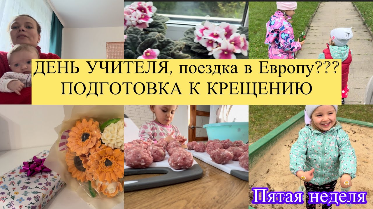 5 неделя влогов: 29.09-05.10 День учителя, подарки, подвоз, занятия, быт, рутина, заготовки