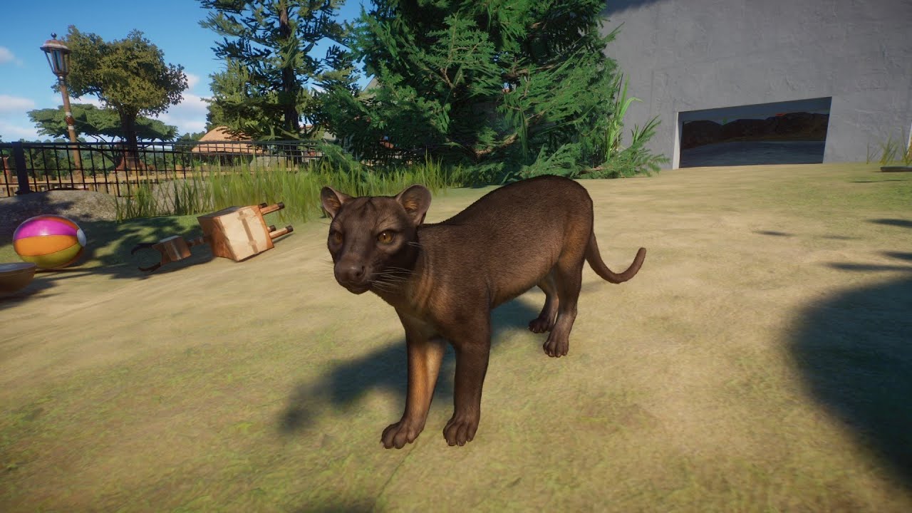 Planet Zoo (PC)(English) #149  6 Minutes of Fossa (Tropical DLC)