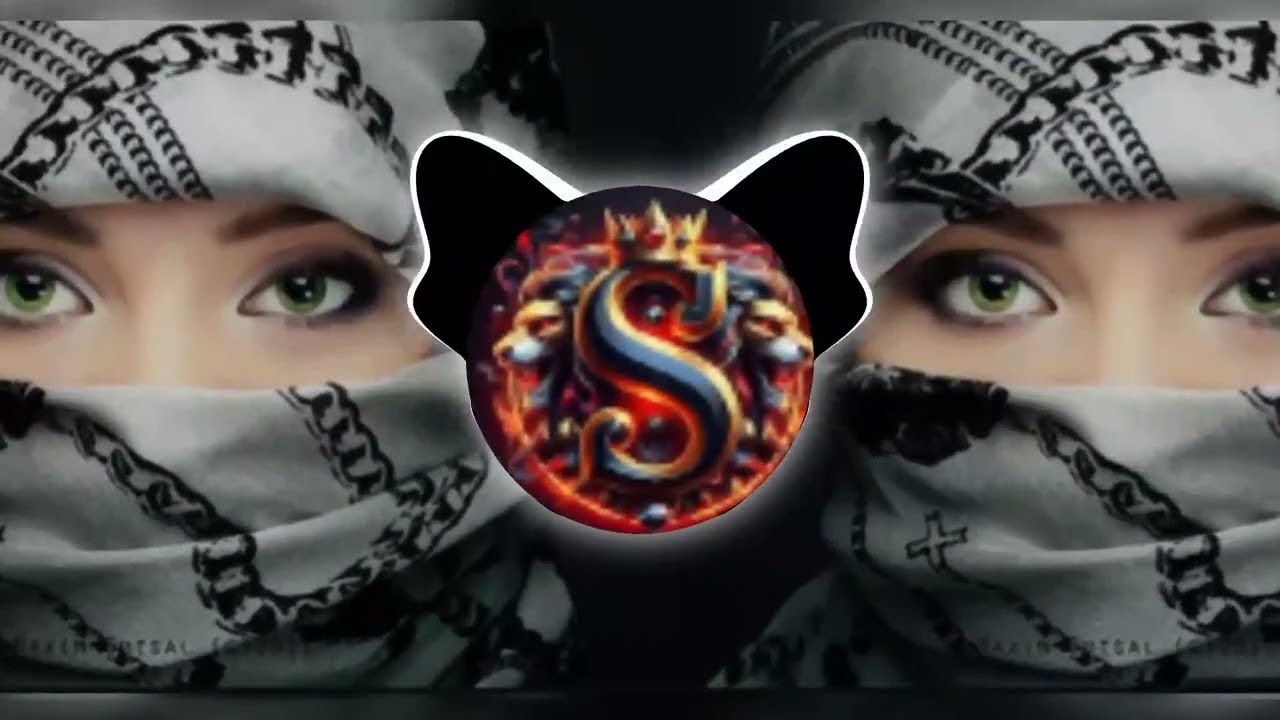 New Arabic Remix || Tiktok viral ریمیکس 2024 || [ Slowed Reverb ] New Song 2024