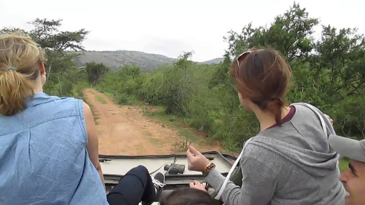 Taylor Swift goes on a Safari