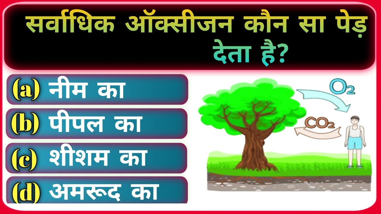 GK Question || GK In Hindi || GK Question and Answer || GK Quiz @MrGkStuddy 