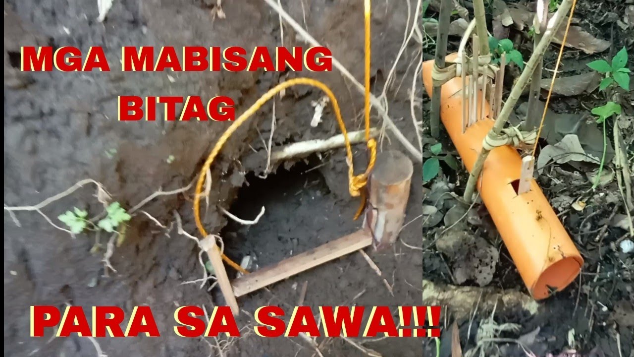 DALAWANG URI NA PATIBONG NA MABISA PANG HUNTING NG SAWA // TUTORIAL