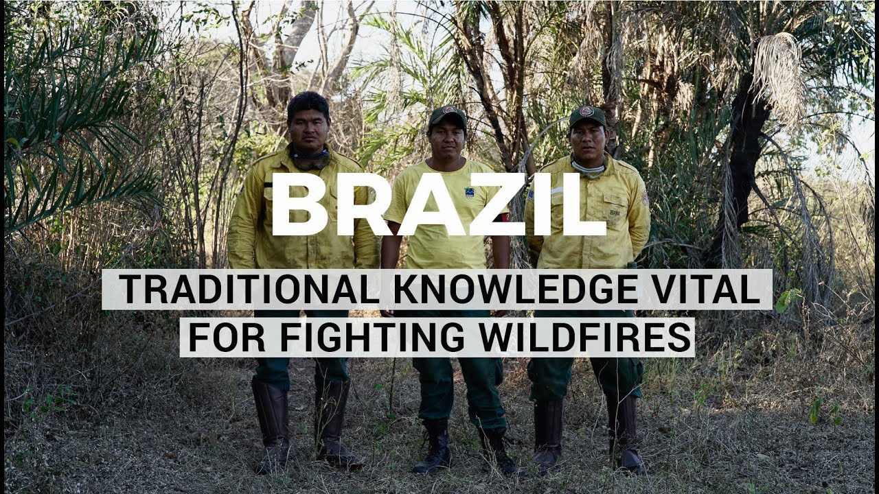 Burning the Bananal | Queimando o Bananal