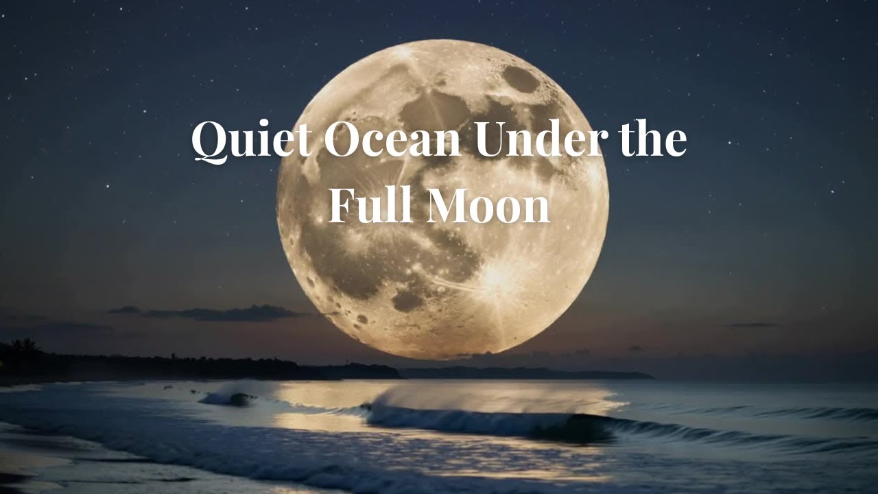 Quiet Ocean Under the Full Moon | Soothing Night Music for Deep Sleep & Calm