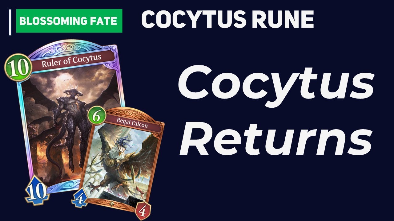 Dimension Climb's True Partner