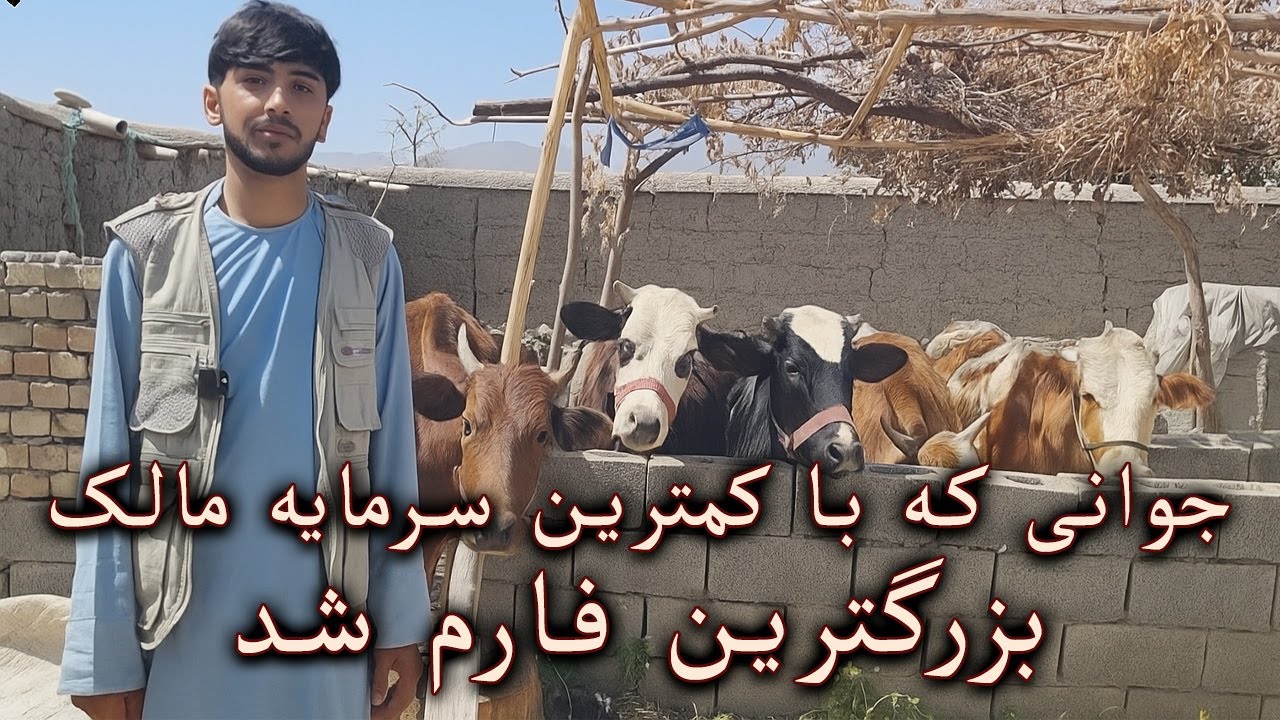 جوانی که از دو بز شروع کرده صاحب بزرگترین فارم مالداری شد