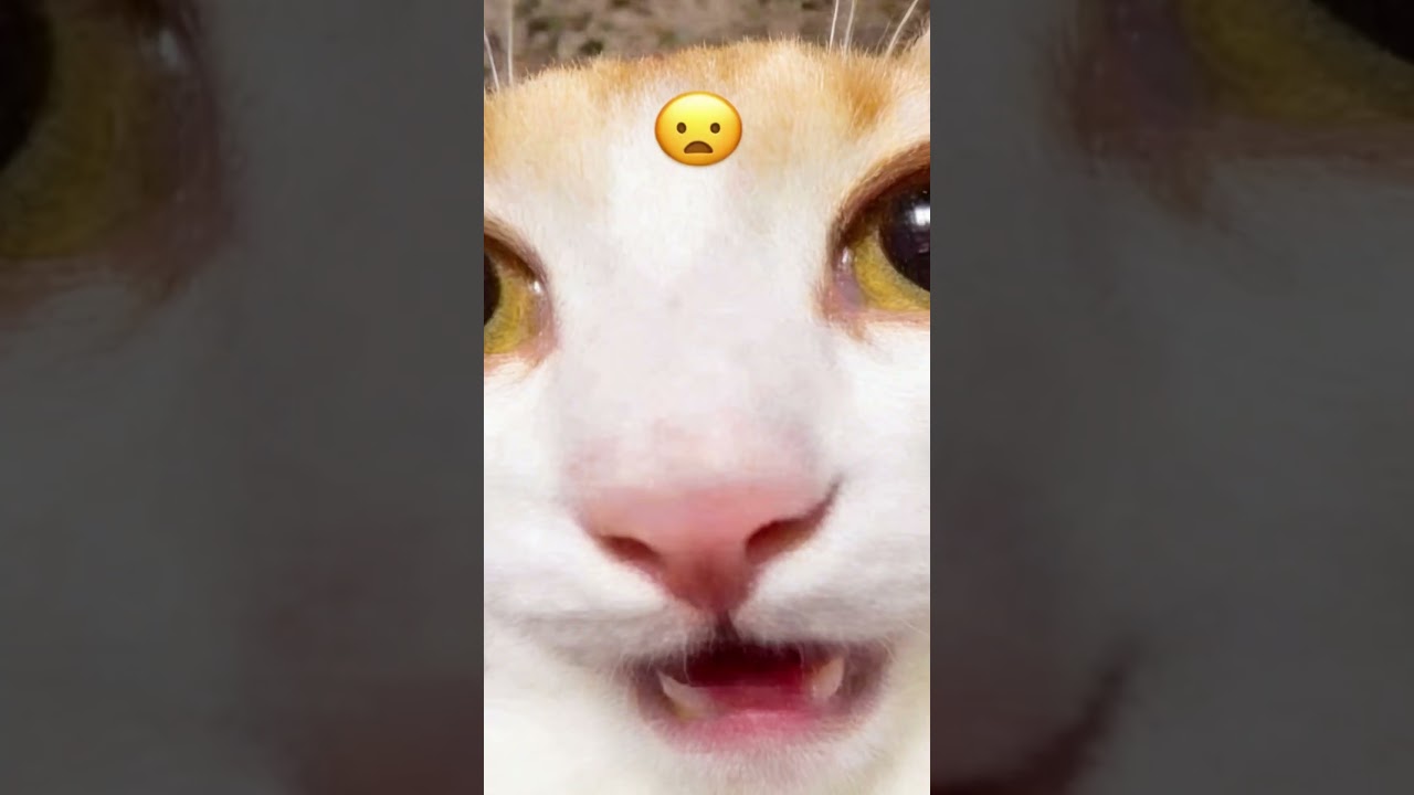 VIDEO COMPLETO EN MI CANAL  