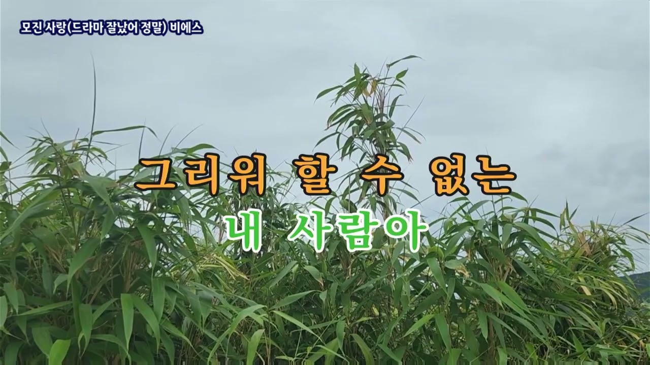 모진 사랑(드라마 잘났어 정말) 비에스, #가요, #노래, #휴식, #힐링, #shorts, #잔잔한, #발라드, #조용한, #기쁨, #kpop