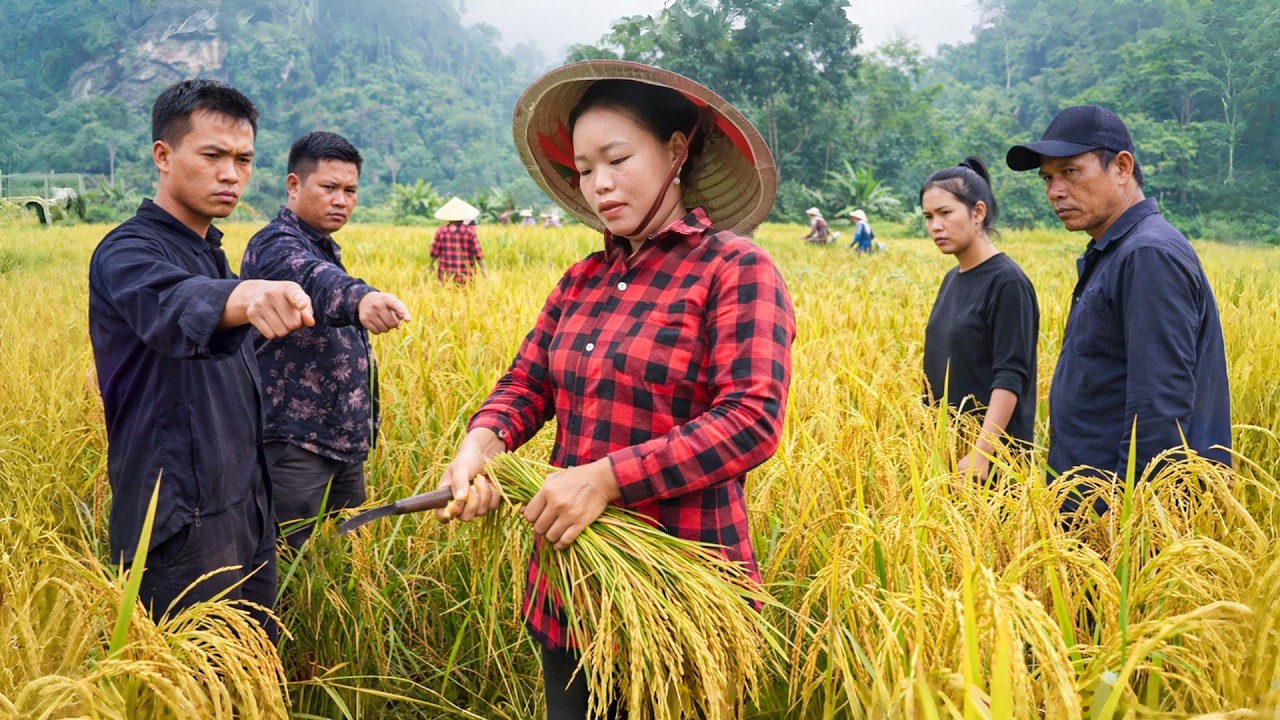 How to make shrimp and pork cakes to sell at the market and how to work as a hired rice harvester