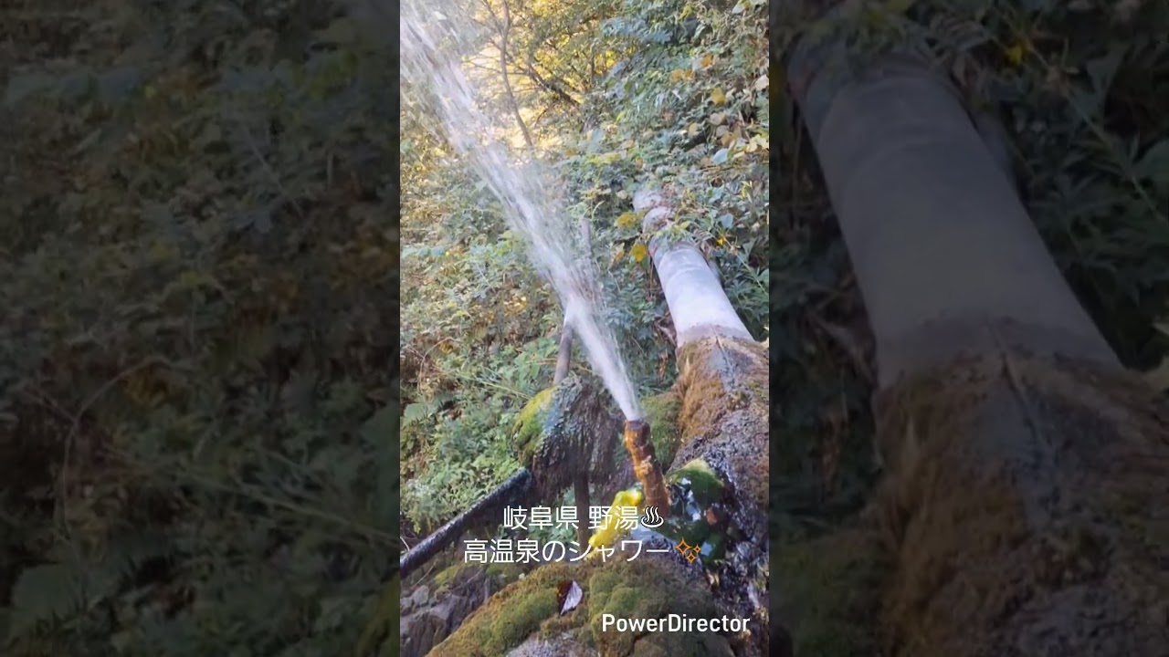 岐阜県 野湯 #野湯 #秘湯 #温泉