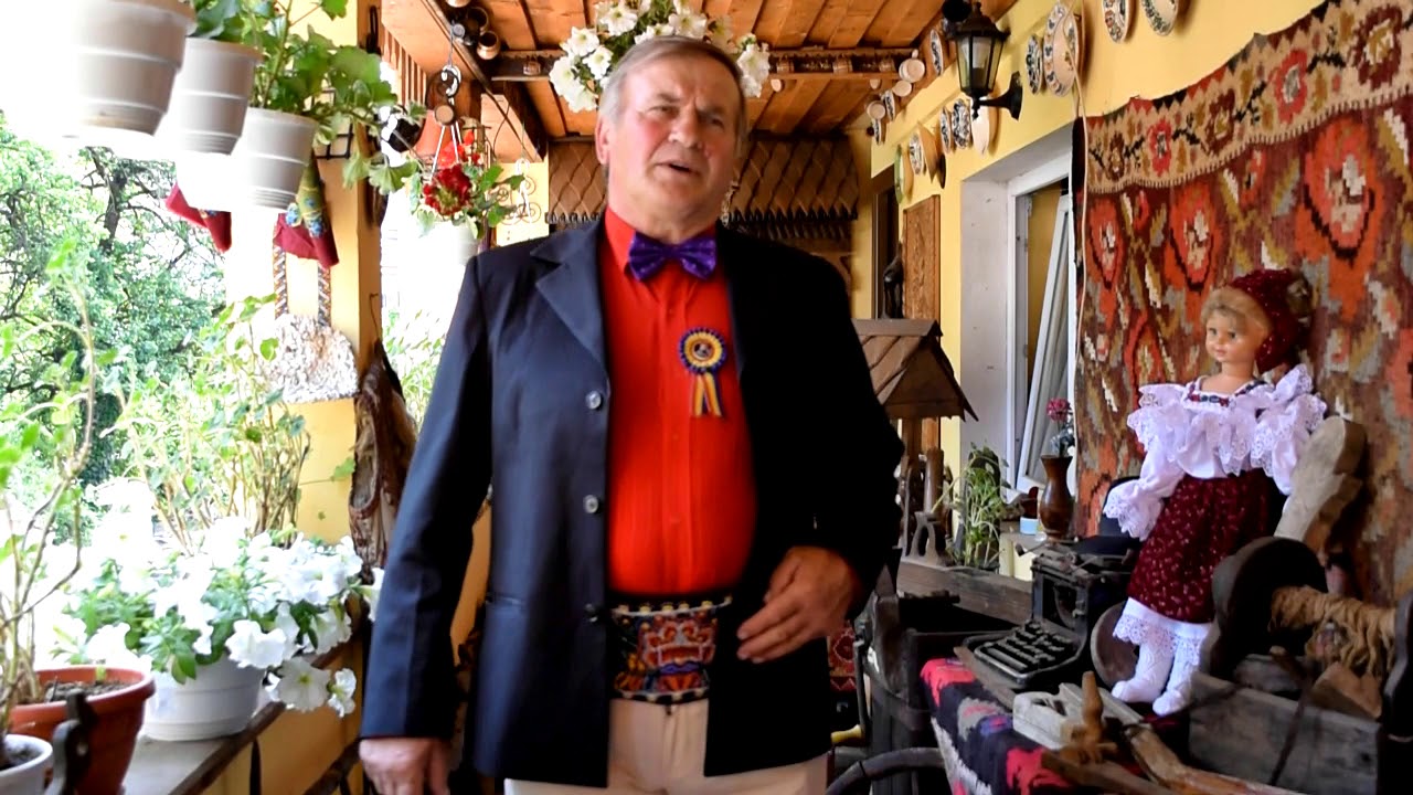 VASILE VLAD   BATE VANTUL PRIN PADURI