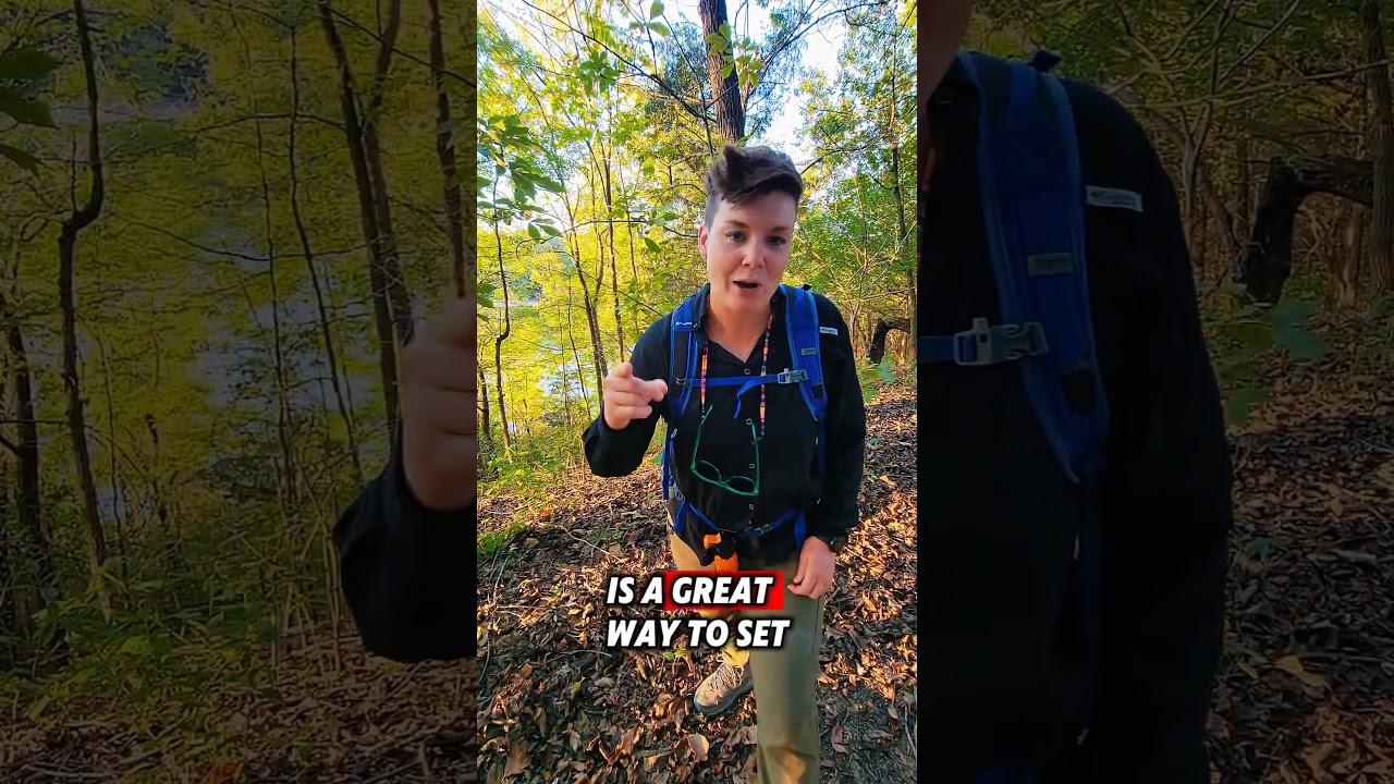 Serious About Your Goals? - Tell Someone&nbsp;| Forest Hiking in the Dark