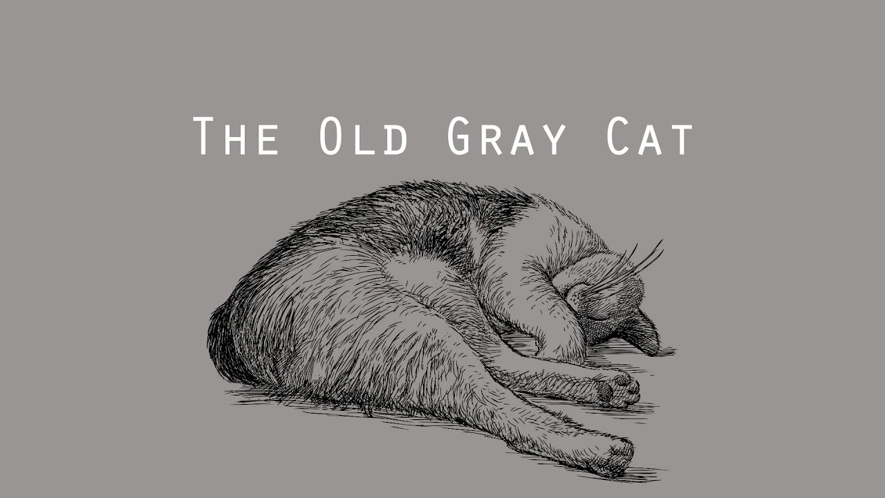 The Old Gray Cat
