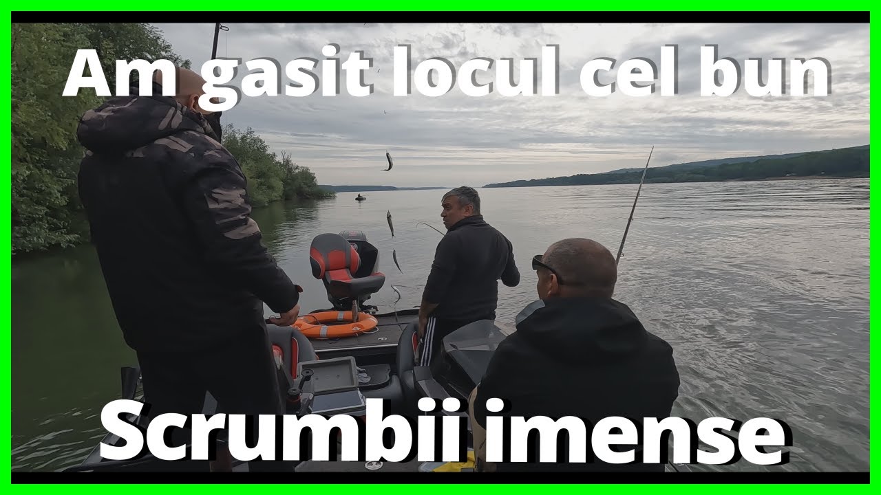 Pescuit la Scrumbie pe Dunăre: Dimineți de Vis și Relaxare cu Prietenii!