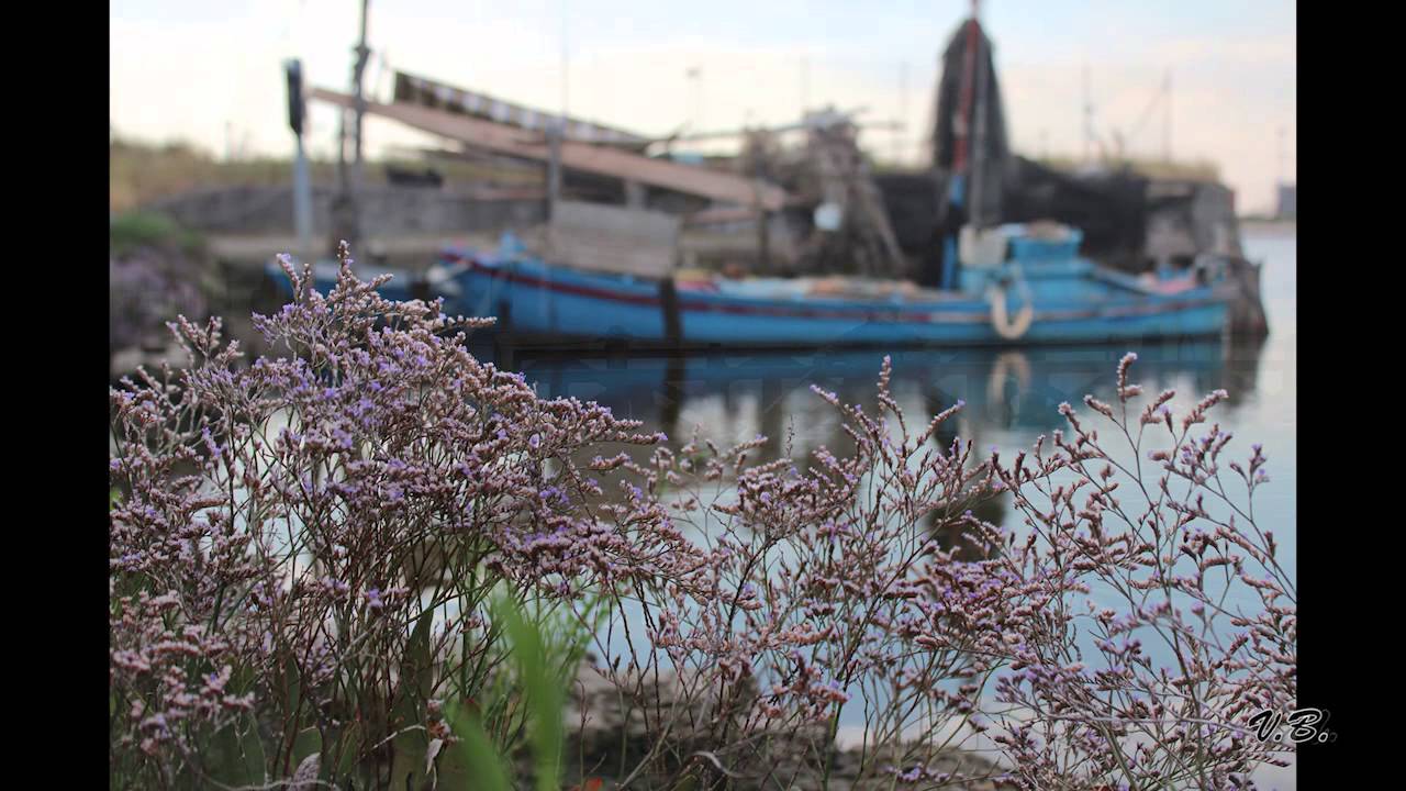 Chioggia: terra, laguna e mare