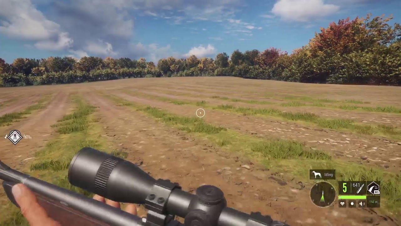 Let's do some Hunting