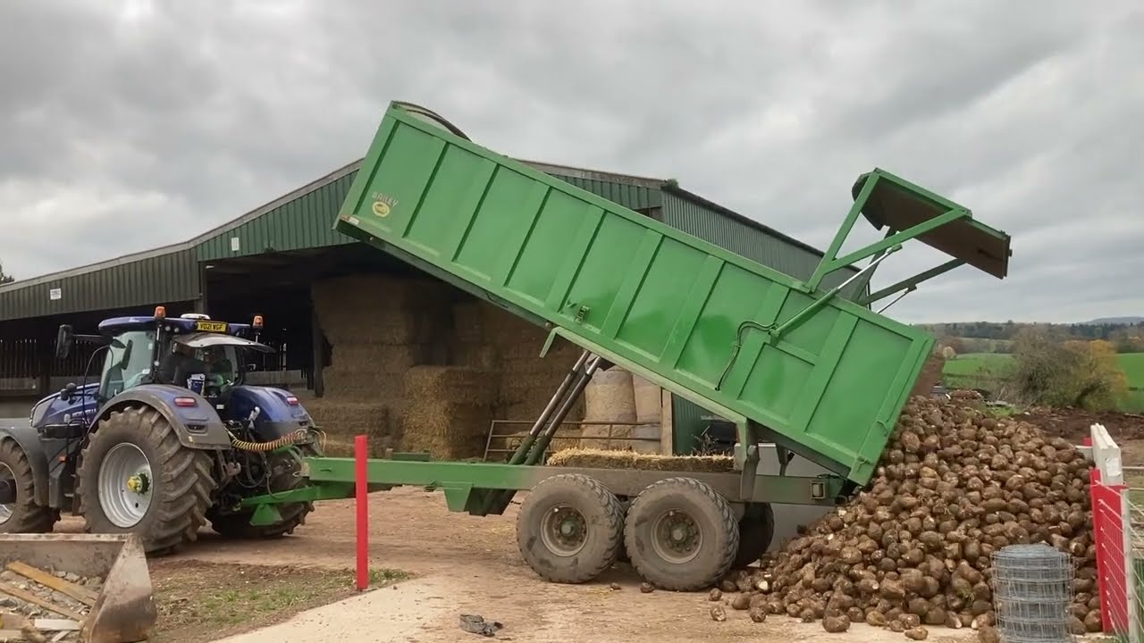 IT'S ALL MUCK AND FODDER