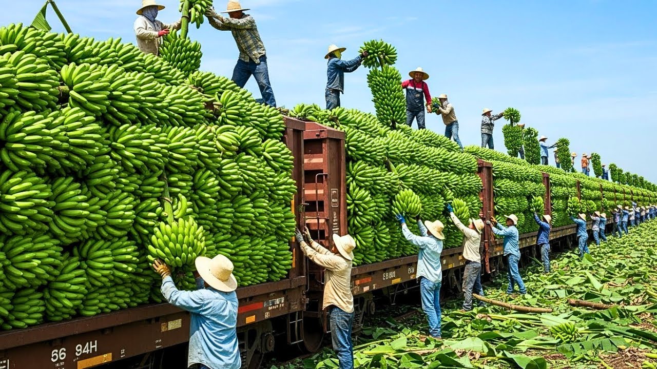 Las MÁQUINAS AGRÍCOLAS MÁS IMPRESIONANTES 🌾  GIGANTES de la COSECHA que ALIMENTAN al MUNDO en 2025