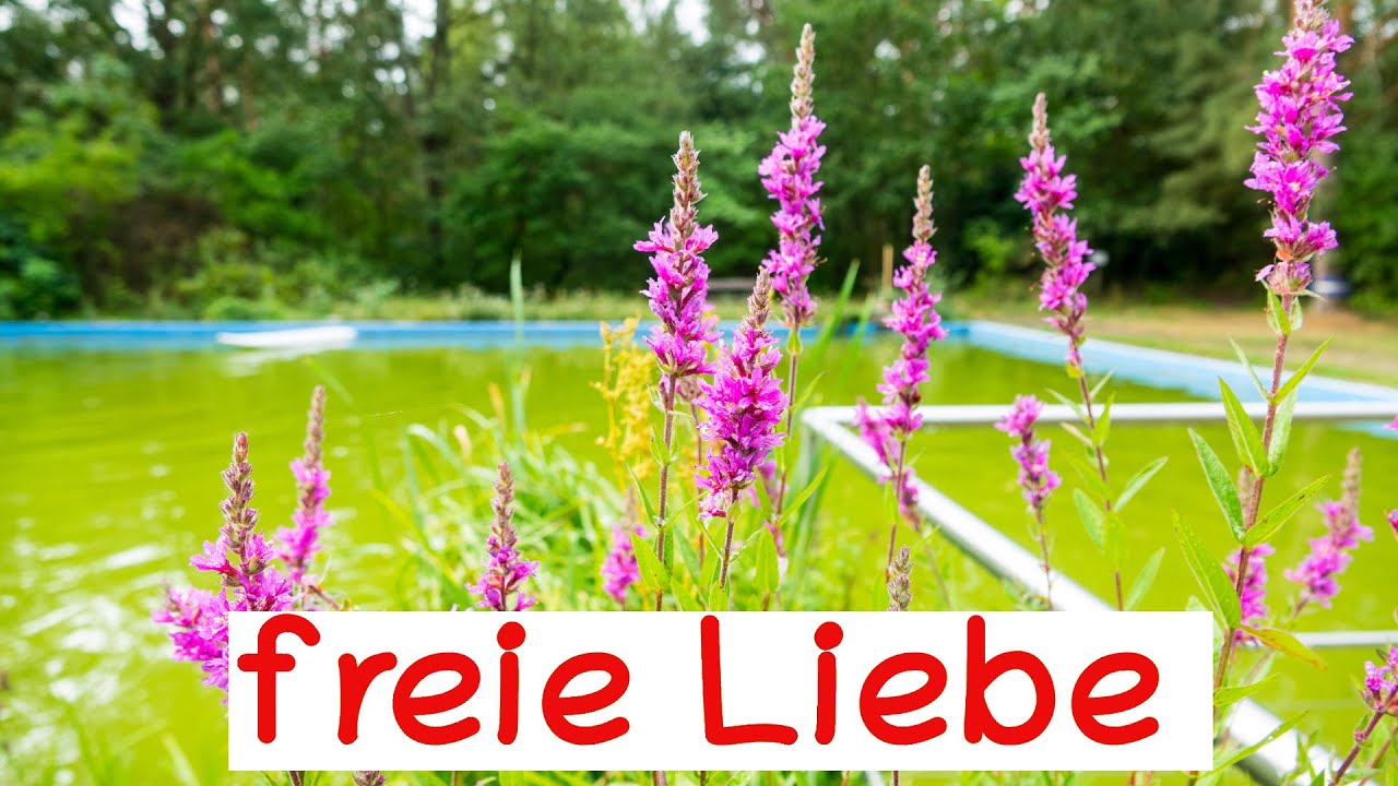 Freie Liebe, Polyamorie und offene Beziehung - Hinterfragen