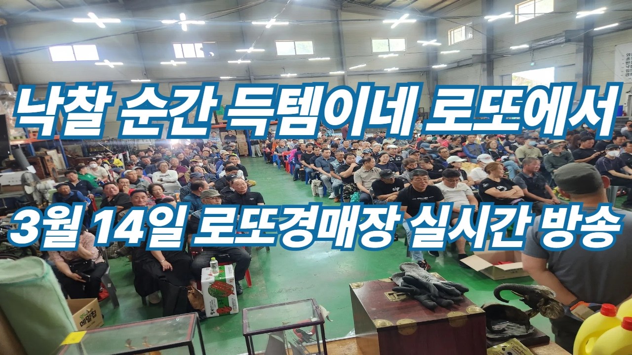 3월 14일 토요일 로또경매장 현장 실시간~