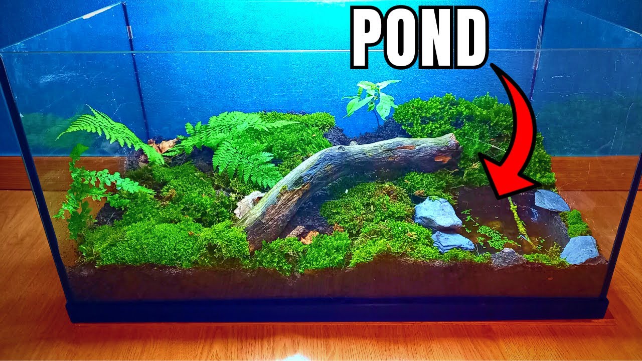 I made this ecosystem terrarium for FREE