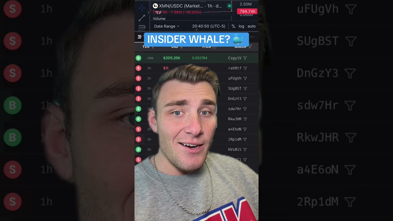 Random $205k whale aped into the Xmoney XMN coin last night... what does he know?!?!
